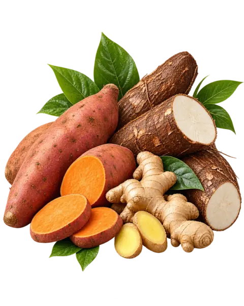 Premium Kenyan ginger