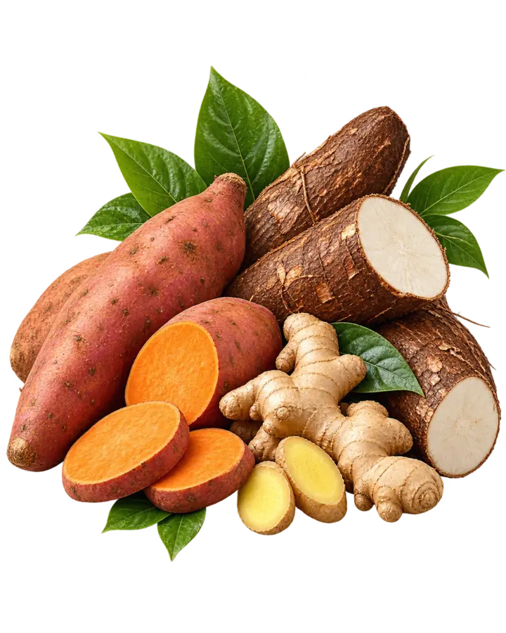 Sweet potatoes, arrow roots and fresh ginger